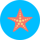 estrella de mar icon