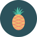 cocos icon