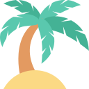 palmera icon