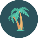 palmera icon