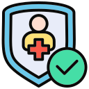 seguridad icon