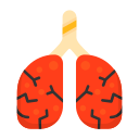 pulmones icon