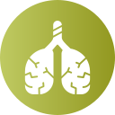 pulmones icon