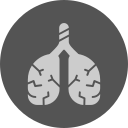 pulmones icon