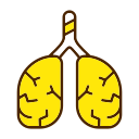 pulmones icon