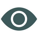 ojo icon