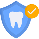 seguro dental icon