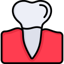 premolar icon