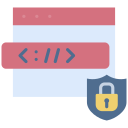 https icon