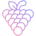 uvas icon