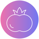 tomate icon