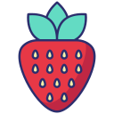 fresa icon