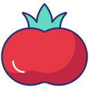 tomate icon