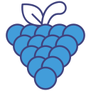 uvas icon