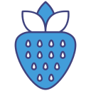 fresa icon