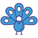 Peacock 