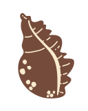 caracol icon