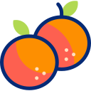 mandarina icon