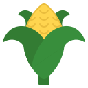 Corn 