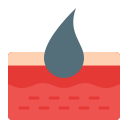 dermis icon