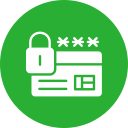 seguridad icon