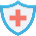 seguridad icon