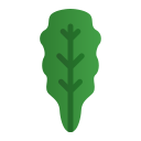 lechuga icon