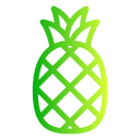 piña icon