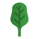 espinaca icon