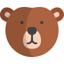 oso icon