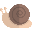 caracol 