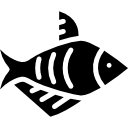 pescado icon