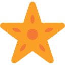 estrella de mar 