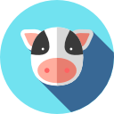 vaca icon