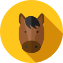 caballo icon