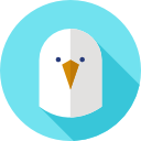 gaviota icon