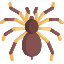 Tarántula