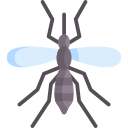 Mosquito