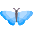 Mariposa