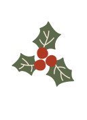 flor de navidad icon