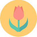 rosa icon