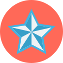 estrella de navidad icon