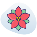 flor de pascua icon