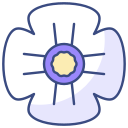 amapola icon