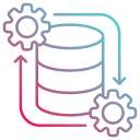 proceso de datos icon