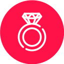 anillo icon