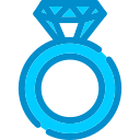 anillo icon