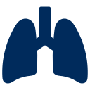 pulmones icon