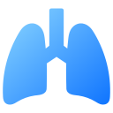 pulmones icon