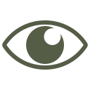 ojo icon